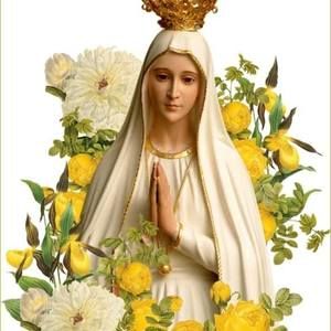 Meet your Posher, Thu